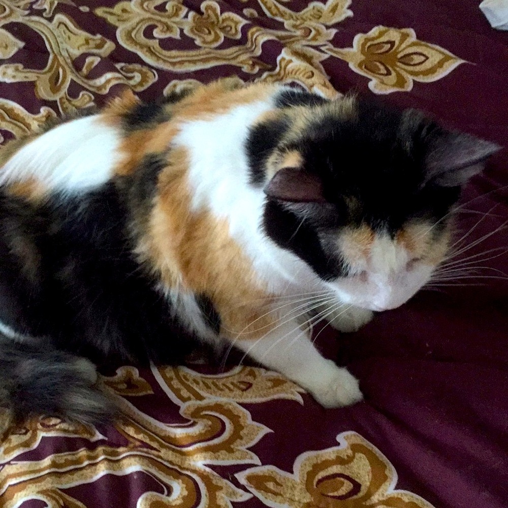 Meet your Posher, Rosemarie